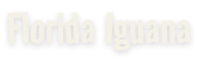 logo-florida-iguana